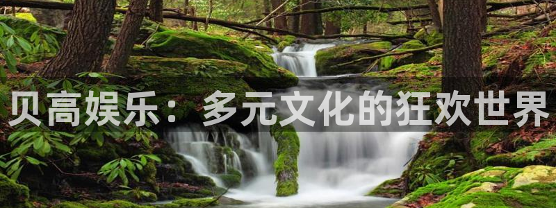 天顺娱乐