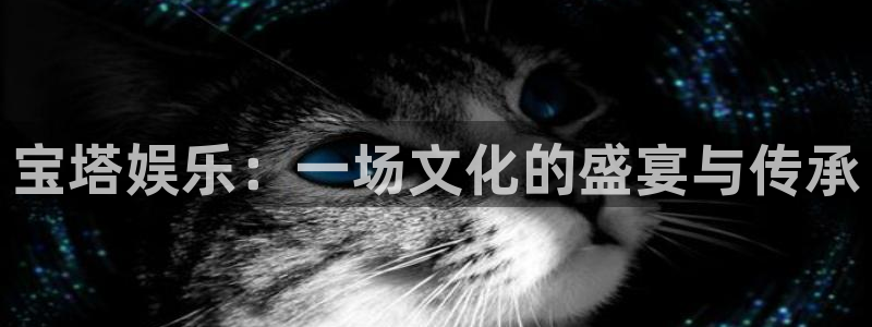 天顺娱乐