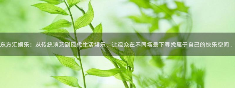 天顺娱乐